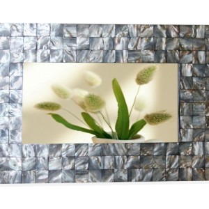 HT3101 Rectangular mother of pearl mirror