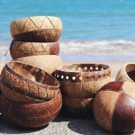 Coconut natural bowls
